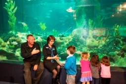 Regan and Nicola Aquarium tour small4